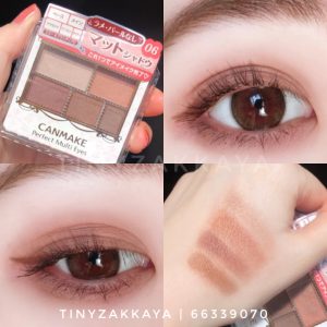 CANMAKE – Perfect Multi Eye / 06