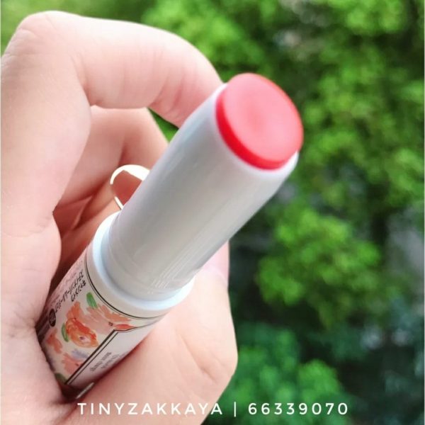 CANMAKE Stay-on Balm rouge / T05 4