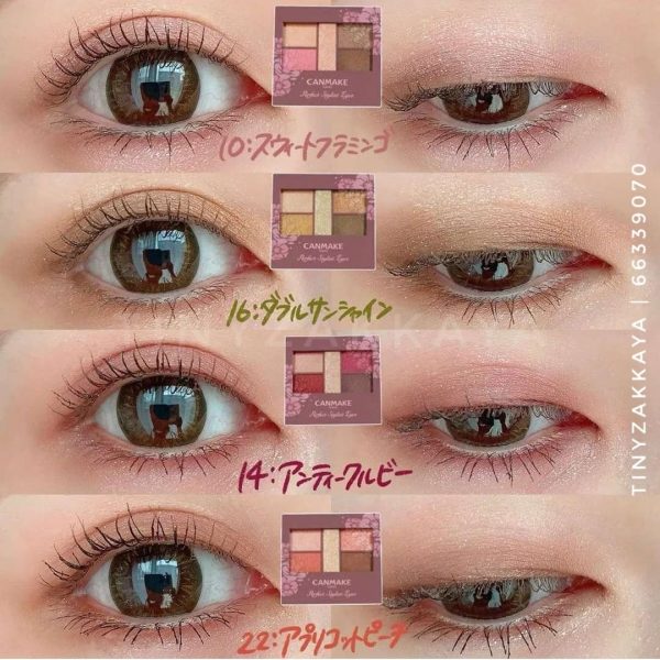 CANMAKE - Perfect Stylist Eyes / 22 3