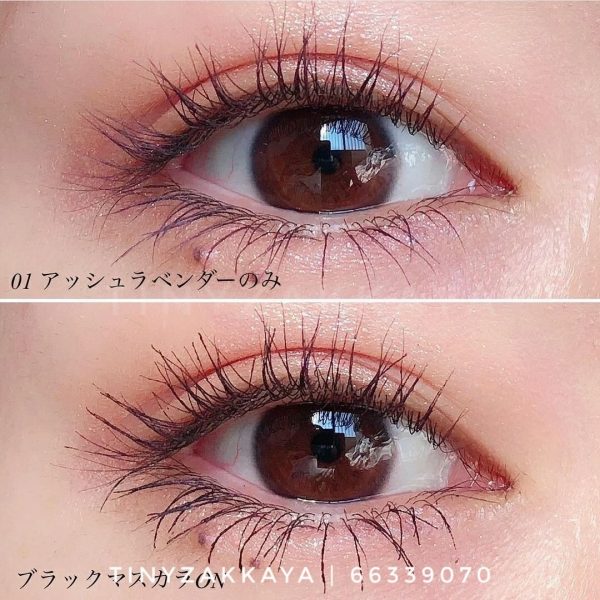 ETTUSAIS - eye edition mascara base 限定 6