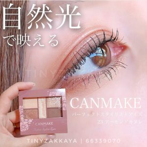 CANMAKE Perfect Stylist Eyes / 23