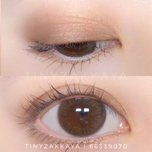 CANMAKE  perfect Stylist eyes 02