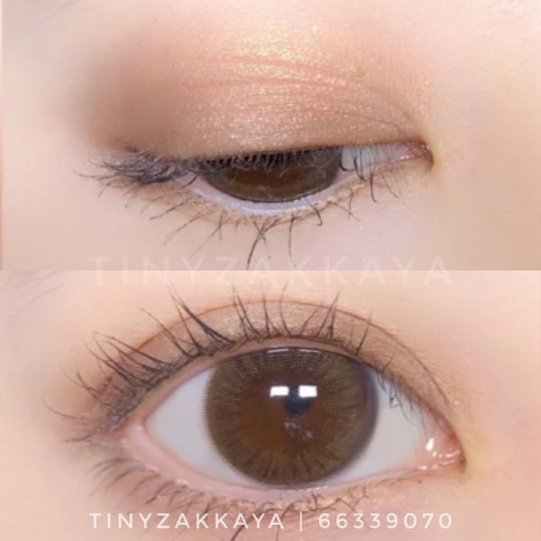 CANMAKE perfect Stylist eyes 02 2