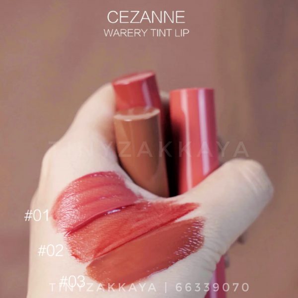 CEZANNE Watery Tint Lip 水漾唇彩 04 05 7