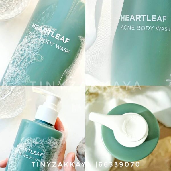 韓國 ANUA - 魚腥草果酸控油去痘去暗粒沐浴露 Anua Heartleaf Acne Body 500ml 3